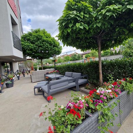 Roşu Albert Hotel מראה חיצוני תמונה